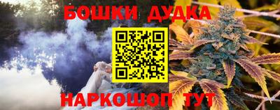 индика Апрелевка