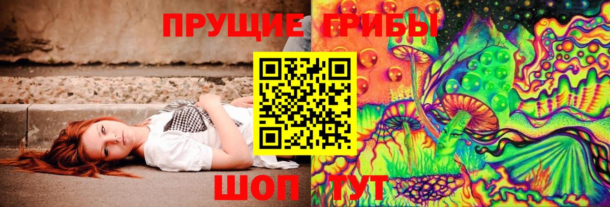 Галлюциногенные грибы Cubensis Волжский