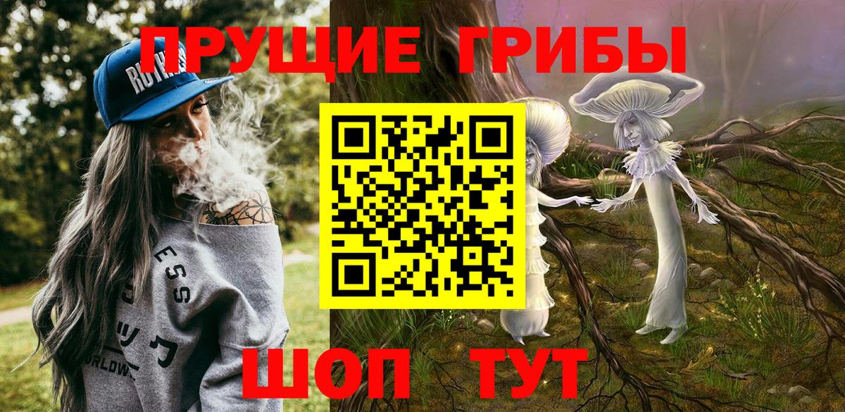 Волжский  Галлюциногенные грибы Psilocybe  Вход с VPN  Галлюциногенные грибы Psilocybine cubensis 